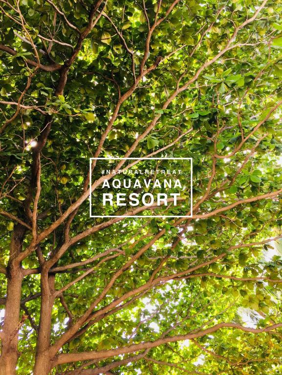 Aquavana Haad Rin Resort – Koh Phangan